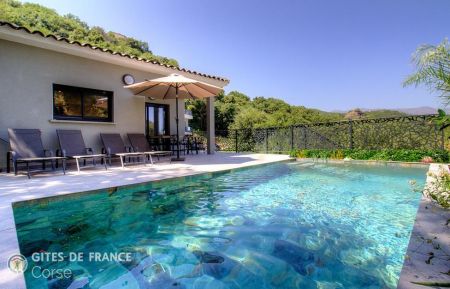 Ferienhaus Nr.64481 Vallecalle - Corse - Gite &agrave; Vallecalle, Grand-Bastia, Haute-Corse, labellis&eacute; Gites de France : la piscine