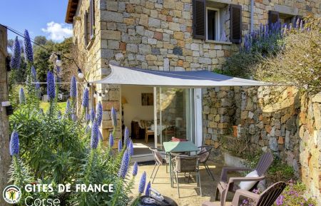 Gîte à Cargèse, la côte ouest, en Corse du Sud, labellisé Gîte de France : le gite et la terrasse Ferienhaus Nr.17643 Cargèse - Corse - Gîte à Cargèse, la côte ouest, en Corse du Sud, labellisé Gîte de France : le gite et la terrasse