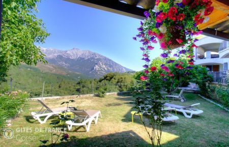 Gîte à Muracciole, centre Corse, Haute-Corse, labellisé Gîtes de France : la vue de la terrasse couverte Ferienhaus Nr.57841 Muracciole - Corse - Gîte à Muracciole, centre Corse, Haute-Corse, labellisé Gîtes de France : la vue de la terrasse couverte