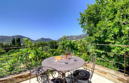 Gite à Patrimonio, Grand-Bastia, Haute-Corse, labellisé Gites de France: la terrasse Ferienhaus Nr.60791 Patrimonio - Corse - Gite à Patrimonio, Grand-Bastia, Haute-Corse, labellisé Gites de France: la terrasse