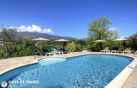 Ferienhaus Nr.56573 Lucciana - Corse - Gite &agrave; Lucciana, Grand Bastia, Haute-Corse, labellis&eacute; Gites de France: la piscine commune