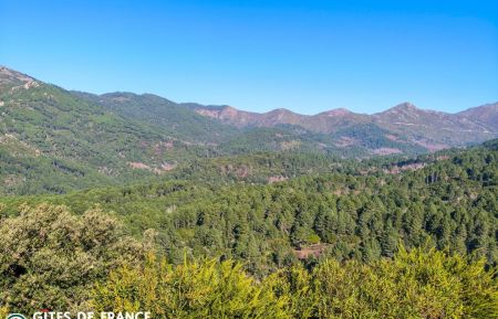 N &deg; Bed And Breakfast20381 Aull&egrave;ne - Corse - photo