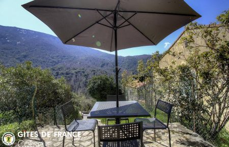 Gite à Cristinacce la cote ouest en Corse du Sud : la terrasse Ferienhaus Nr.23952 Cristinacce - Corse - Gite à Cristinacce la cote ouest en Corse du Sud : la terrasse