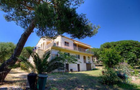Ferienhaus Nr.57473 Calvi - Corse - G&icirc;te &agrave; Calvi, Balagne, Haute-Corse, labellis&eacute; G&icirc;tes de France : la maison