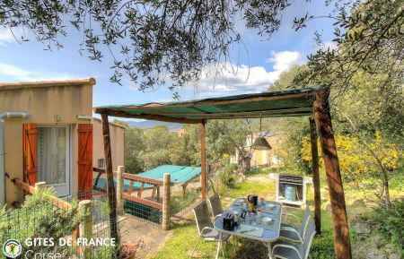 Ferienhaus Nr.23433 Figari - Corse - Gite &agrave; Figari, le Sud Corse, Corse du Sud, labellis&eacute; G&icirc;tes de France : la terrasse