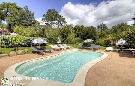 Gîte à Porto-Vecchio, le sud Corse, labellisé Gîtes de France :la piscine Ferienhaus Nr.23020 Porto-Vecchio - Corse - Gîte à Porto-Vecchio, le sud Corse, labellisé Gîtes de France :la piscine