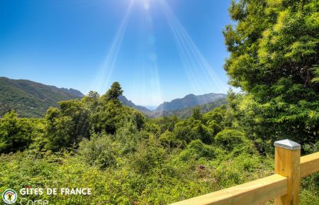 Gîte 28391 - Marignana - Ouest corse - Corse du sud - labellisé Gîte de France : la vue Ferienhaus Nr.28391 Marignana - Corse - Gîte 28391 - Marignana - Ouest corse - Corse du sud - labellisé Gîte de France : la vue