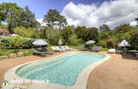 Gîte à Porto-Vecchio, le sud Corse, labellisé Gîtes de France : la piscine Ferienhaus Nr.23022 Porto-Vecchio - Corse - Gîte à Porto-Vecchio, le sud Corse, labellisé Gîtes de France : la piscine