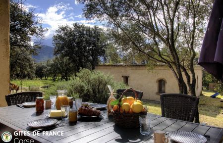 Ferienhaus Nr.57082 Lumio - Corse - G&icirc;te &agrave; Lumio, Balagne, Haute-Corse, labellis&eacute; G&icirc;tes de France : la terrasse