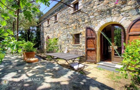 Gite à Patrimonio, Grand Bastia, Haute-Corse, labellisé Gites de France : la terrasse sud Ferienhaus Nr.56062 Patrimonio - Corse - Gite à Patrimonio, Grand Bastia, Haute-Corse, labellisé Gites de France : la terrasse sud