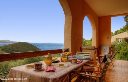 Gîte à Farinole, Grand Bastia, Haute-Corse, labellisé Gîtes de France : terrasse vue mer Ferienhaus Nr.60411 Farinole - Corse - Gîte à Farinole, Grand Bastia, Haute-Corse, labellisé Gîtes de France : terrasse vue mer