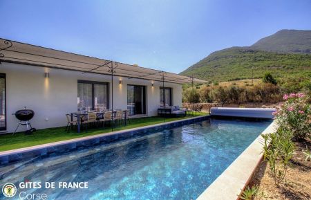 Ferienhaus Nr.63172 Gal&eacute;ria - Corse - G&icirc;te &agrave; Galeria, Balagne, Haute-Corse, labellis&eacute; G&icirc;tes de France : la piscine