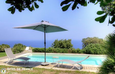 N &deg; Bed And Breakfast57251 Brando - Corse - Maison d'h&ocirc;tes &agrave; Brando, Grand Bastia, Haute-Corse, labellis&eacute;e G&icirc;tes de France Corse : la piscine