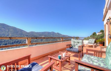 Gîte à Balogna, la côte ouest, Corse-du-Sud, labellisé Gîtes de France : la terrasse Ferienhaus Nr.27091 Balogna - Corse - Gîte à Balogna, la côte ouest, Corse-du-Sud, labellisé Gîtes de France : la terrasse