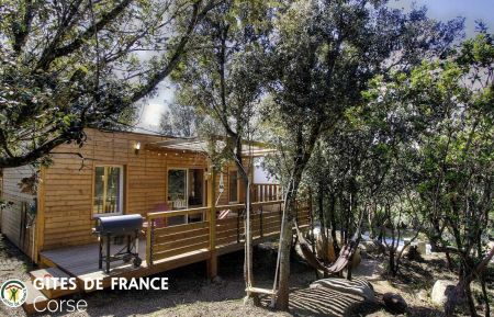 Holzh&uuml;tte28232 Sainte lucie de porto vecchio - Corse - Gite &agrave; Sainte Lucie de Porto-Vecchio, le Sud Corse, Labellis&eacute; G&icirc;tes de France : le gite et la terrasse