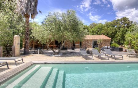 Gite à Porto Vecchio, en Corse du Sud, labelisé Gîtes de France : la piscine Ferienhaus Nr.25191 Porto-Vecchio - Corse - Gite à Porto Vecchio, en Corse du Sud, labelisé Gîtes de France : la piscine