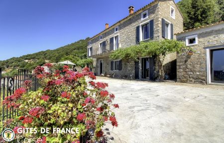 Ferienhaus Nr.28581 Sollacaro - Corse - Gite &agrave; Sollacaro, Le Grand Valinco, Corse du Sud, labellis&eacute; G&icirc;tes de France :  la terrasse