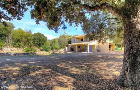 Ferienhaus Nr.22463 Sart&egrave;ne - Corse - photo