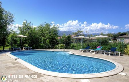 Ferienhaus Nr.56571 Lucciana - Corse - photo